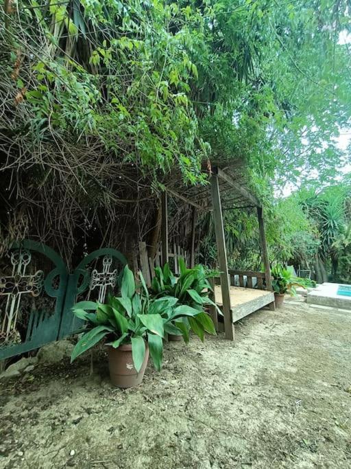 Casa Rural En El Campo Con Animales, Piscina Y Barbacoa Almodovar del Rio Exterior photo