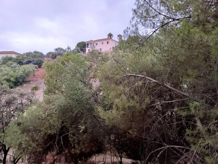 Casa Rural En El Campo Con Animales, Piscina Y Barbacoa Almodovar del Rio Exterior photo