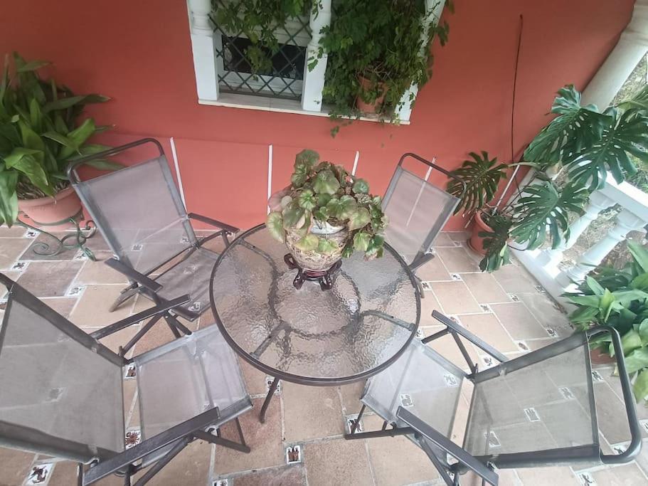 Casa Rural En El Campo Con Animales, Piscina Y Barbacoa Almodovar del Rio Exterior photo