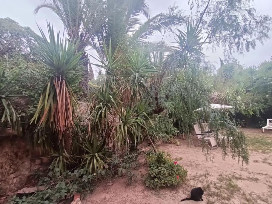 Casa Rural En El Campo Con Animales, Piscina Y Barbacoa Almodovar del Rio Exterior photo