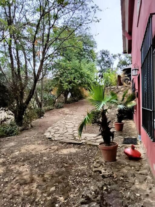 Casa Rural En El Campo Con Animales, Piscina Y Barbacoa Almodovar del Rio Exterior photo